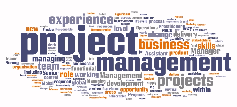 Project Risk Management Training 7 September, 2017.